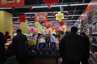 駐馬店市多樂多超市開業(yè)慶典暨精準扶貧公益活動啟動儀式盛大啟幕